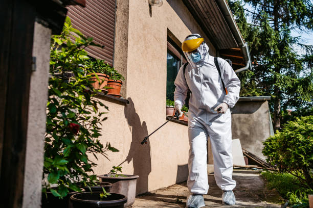 Best Exterminator Services  in Morganton, NC