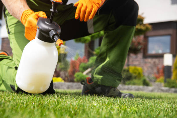 Best Mosquito Control Services  in Morganton, NC